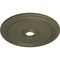 Ekena Millwork Diane Ceiling Medallion (Fits Canopies up to 6 1/4"), 24"OD x 3 5/8"ID x 1 1/4"P, Painted Turtle CM24DIPTF - alternate 3